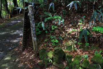 Fototapeta premium 日金山の苔むした仏塔のある小道の道標（日本、熱海市）