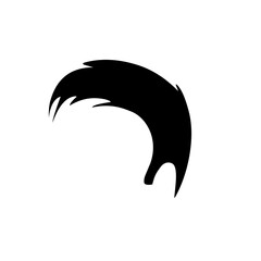 men's hairstyle icon