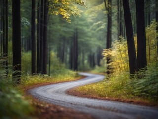 Obraz premium forest landscape curved secondary road through the forest adventure and discovery.