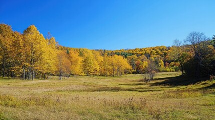 Fototapeta premium Bright foliage under a clear blue sky, vibrant greens and yellows, expansive view