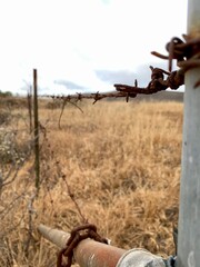Close-up of a rusty barbed wire attached to a metal post with an out-of-focus background of dry grass and overcast sky in Carlsbad, California.