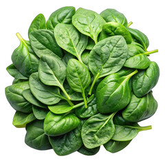 Obraz premium Spinach leave pile top view isolated on transparent background