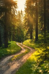 Fototapeta premium A tranquil winding path through a sunlit forest in early morning serenity
