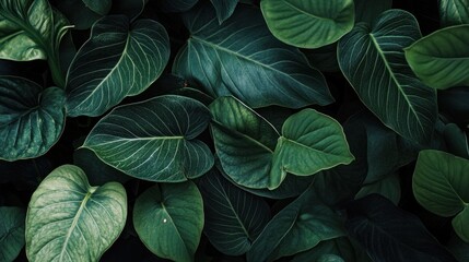 Exotic foliage with unique leaf shapes and textures, close-up detail
