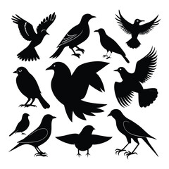 Vector Bird Silhouettes Collection in Black for Wildlife and Nature Designs