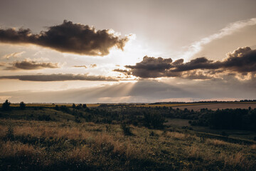 sunset landscape, valley with field grasses and flowers. cloudy sky