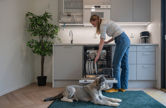Woman loading dirty dishes in dishwasher and her dog lying on floor