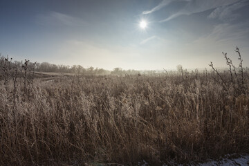 Misty frosty morning over a serene rural field with bare trees a
