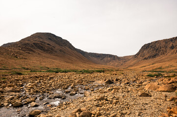 Rocky stream running through Tablelands in Gros Morne, Newfoundland.