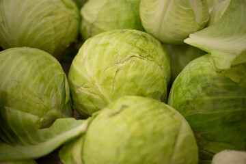 Fototapeta premium Cabbage on the market. Green cabbage leaf. Healthy food.