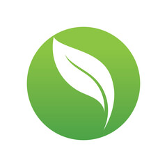 Leaf green nature logo and symbol vector
