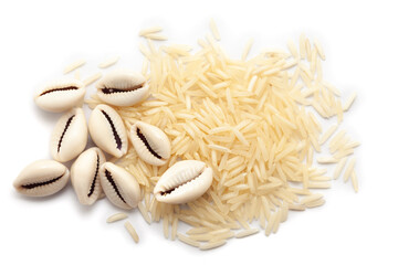 Top view of Cowries (Cypraea chinensis) placed over a pile of rice, isolated on a white background.