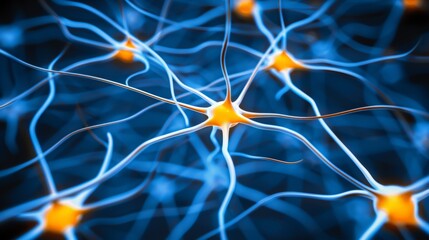 Detailed outline of the human body highlighting circulatory system and brain neural networks