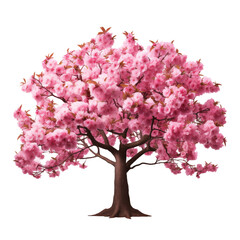 Obraz premium pink sakura transparent background