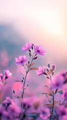  A tight shot of a cluster of flowers with a softly blurred sky in the background