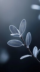 Fototapeta premium Twigs with leaves, softly blurred