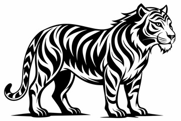 tiger illustration