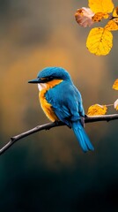 Obraz premium A blue-and-yellow bird sits on a branch against a brown and black backdrop, surrounded by yellow leaves