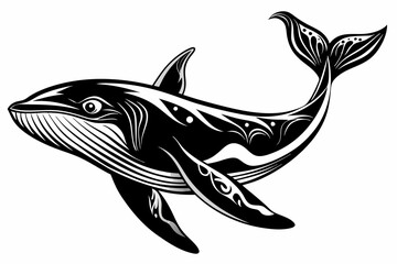 illustration of a shark