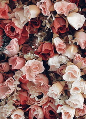 Roses Close-Up View Multicolored Background