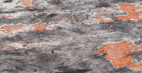 Fototapeta premium Weathered Wooden Surface, Close-Up View, Multicolored