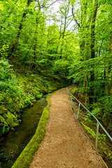 Eine frühlingshafte Wanderung rund um die Touristenattraktion in Brotterode-Trusetal - dem Trusetaler Wasserfall - Thüringen - Deutschland