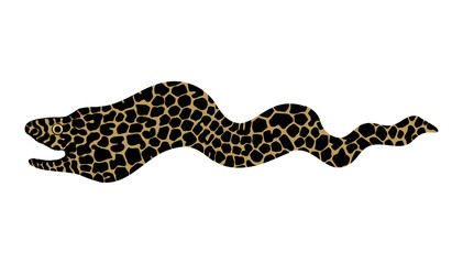 Naklejka premium Moray icon, simple drawing of conger eel spotted fish.