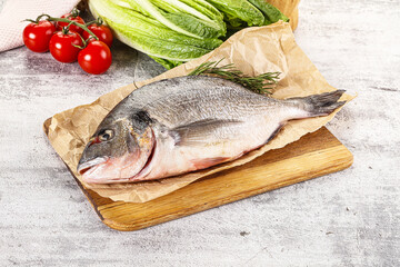 Raw dorada fish served rosemary