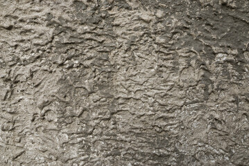 Grey textured concrete wall background