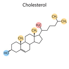 cholesterol molecular structure, chemical bonds and functional groups, biochemistry and medical research diagram hand drawn schematic vector illustration. Medical science educational illustration