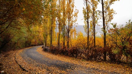 Autumn color, Village
