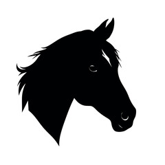 a horse face vector silhouette, black color silhouette white background
