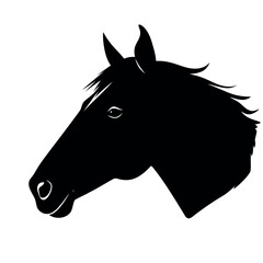Fototapeta premium a horse face vector silhouette, black color silhouette white background