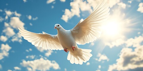 Fototapeta premium White dove with outstretched wings flying in a blue sky with white clouds.