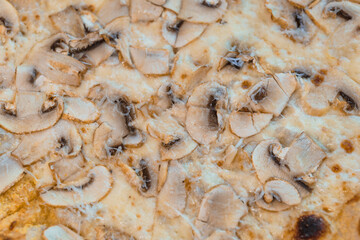 Delicious Gourmet Pizza with Fresh Sliced Mushrooms and Melted Cheese Topping