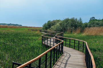 Obraz premium Eco path wooden walkway in Lukomorie, ecological trail path - route walkways laid in the forest, in St. Petersburg, Russia.
