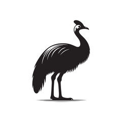 Artistic cassowary silhouette for innovative design projects - Cassowary illustration - minimallest cassowary vector
