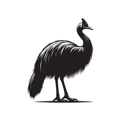 Creative cassowary silhouette for digital and print projects - Cassowary illustration - minimallest cassowary vector
