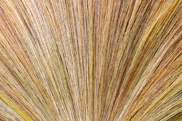 close up detail of a dry grass broom texture background