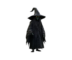Witch with a broom, black crow and raven, Halloween costume, magic, and autumn vibe