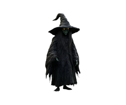 Witch with a broom, black crow and raven, Halloween costume, magic, and autumn vibe