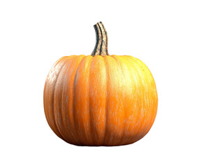 pumpkin isolated on white