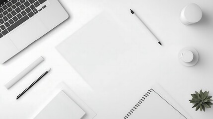 Minimalist White Office Desk Workspace with Laptop  Notebook  and Succulent Plant