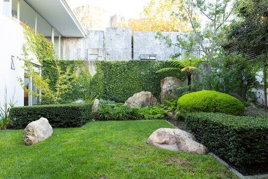 Beautifully landscaped garden with lush greenery and large rocks in modern backyard