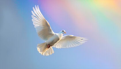 Fototapeta premium White dove flying with open wings in front of rainbow and sunlight. Symbol of love, peace, hope and freedom