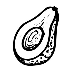 Avocado hand drawn doodle. Organic ripe raw vegetable. Half of fruit with stone. Vegetarian food. Healthy eating. Vitamins. Diet. Vector sketch line art illustration.