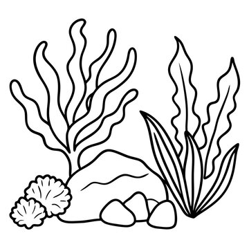 recommend clip art: seaweeds stones corals outline coloring book page line art drawing
