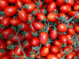 pear cherry tomato with its freshly harvested branch