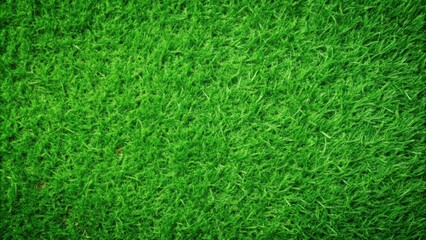 Vibrant green grass texture perfect for nature backgrounds and designs