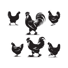 Elegant hen silhouette for various design applications - Hen black vector

